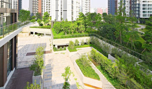 深圳清湖花半里景观